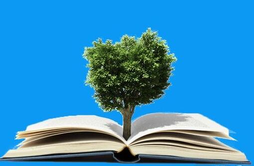 廣州注冊外貿(mào)公司