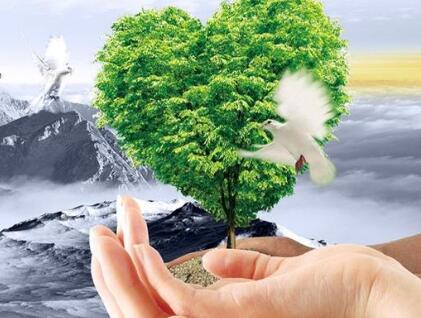 申請(qǐng)進(jìn)出口權(quán)辦理