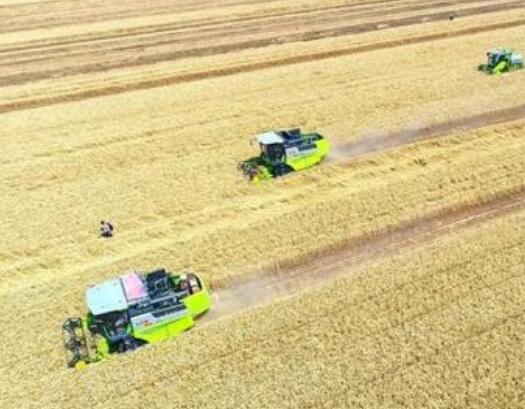 進(jìn)出口經(jīng)營權(quán)-生產(chǎn)企業(yè)